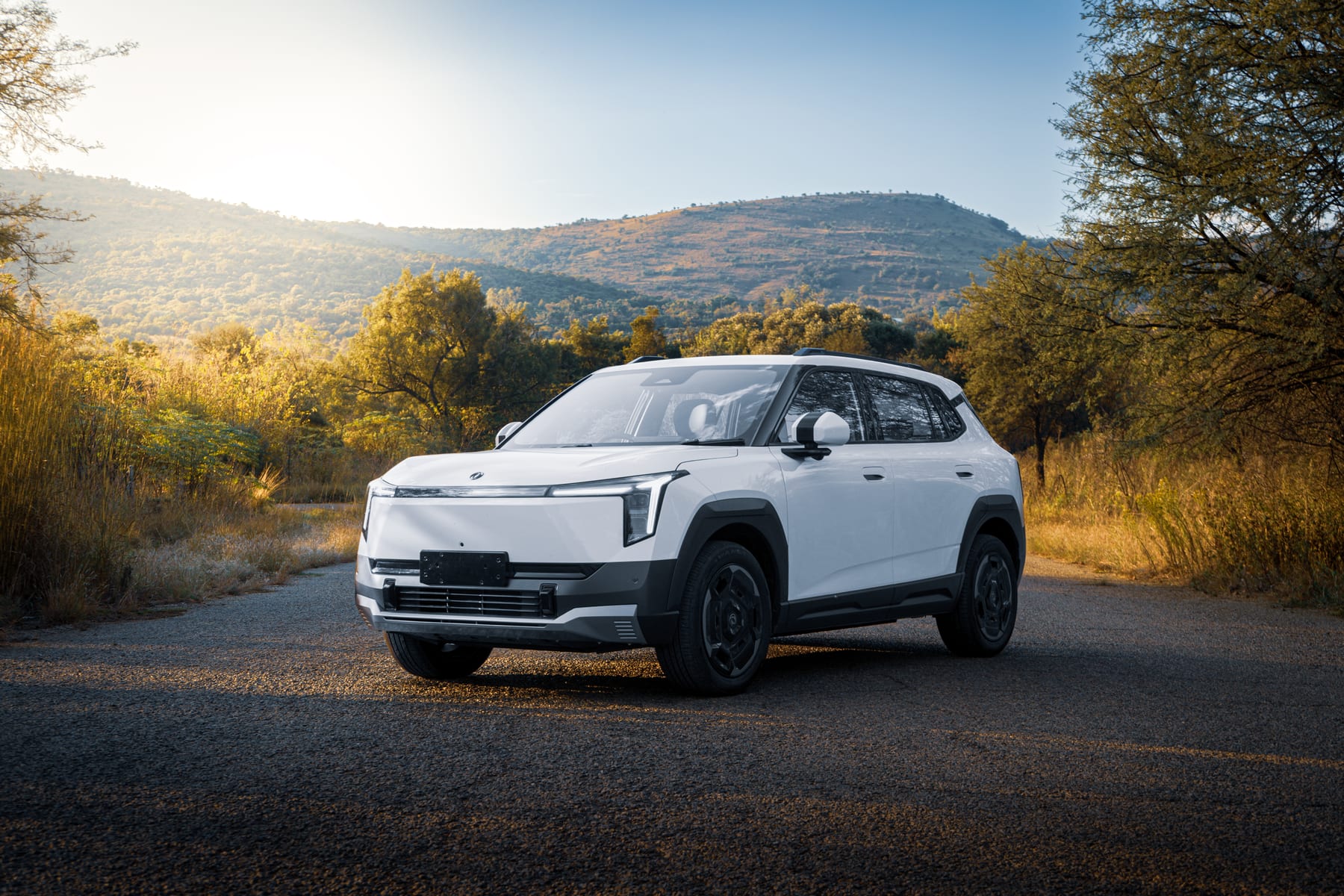 Dongfeng fleet solutions — premium EVs for South African businesses