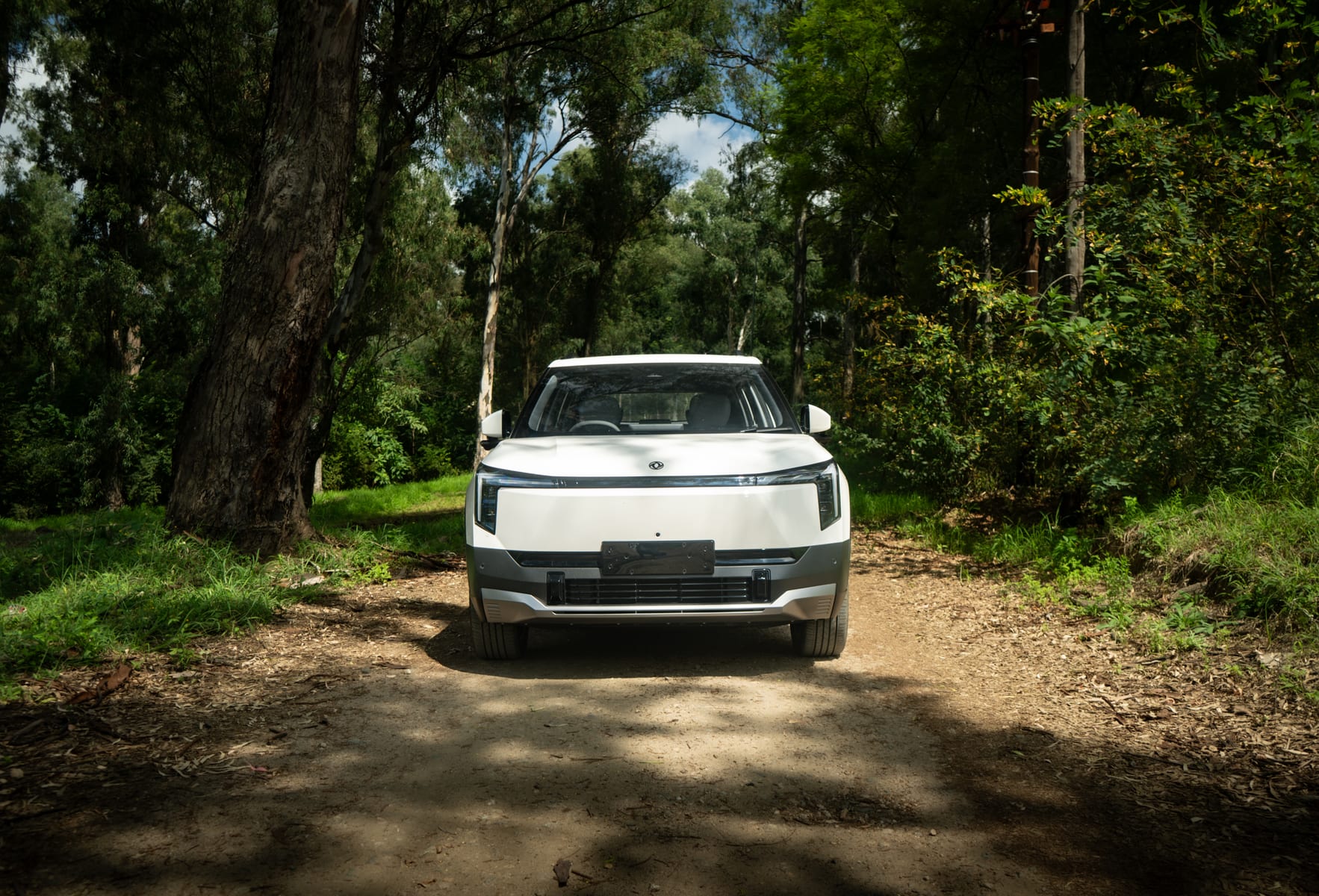 Dongfeng 06 in South Africa