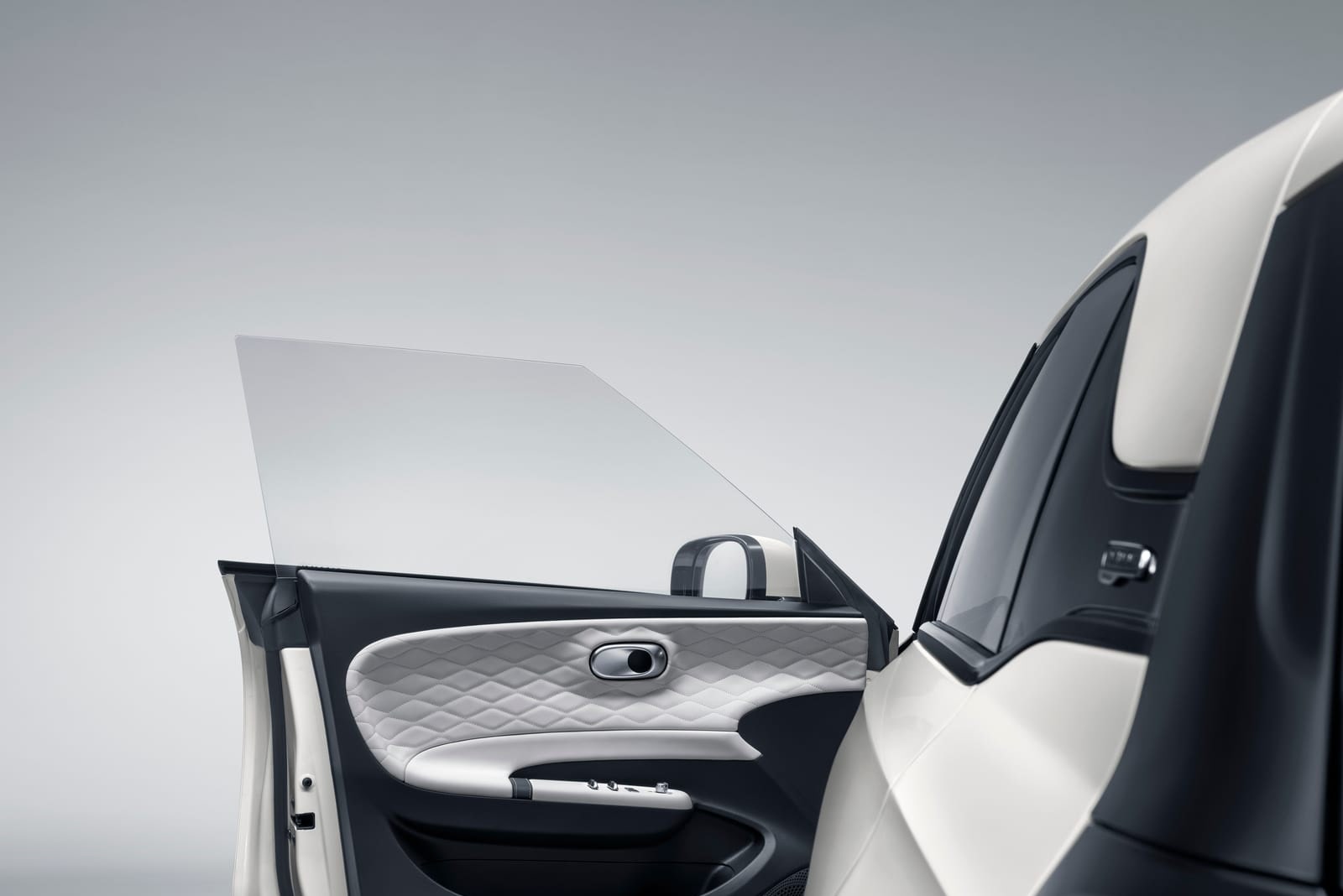 Frameless door detail